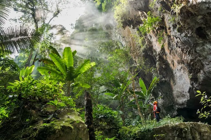 Official tour-page gallery image captioned “A dense forest is right in front of the Son Doong Cave entrance”; representative destination image, not established as a photo of a specific tour departure.