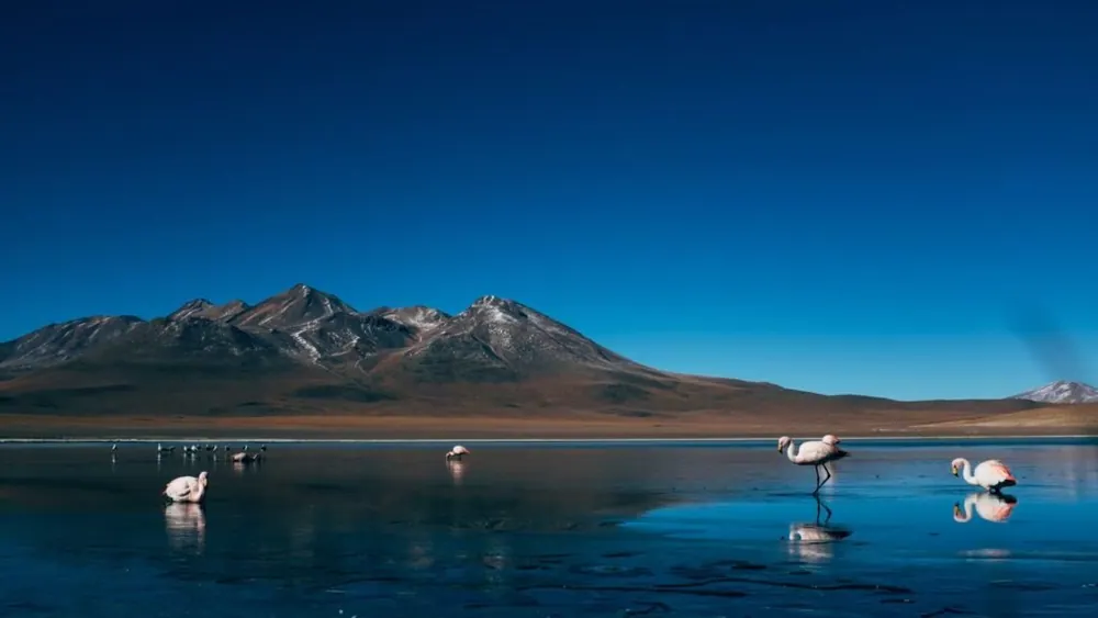 Operator-site gallery image associated with the three-day Salar de Uyuni tour; representative destination/activity image, not confirmed as a photograph from this exact tour.