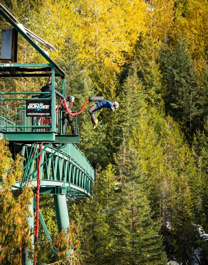 Image principale officielle associée au saut à l’élastique Cheakamus River de 160 pieds ; considérée comme représentative de l’activité, non confirmée comme photo d’un saut spécifique.